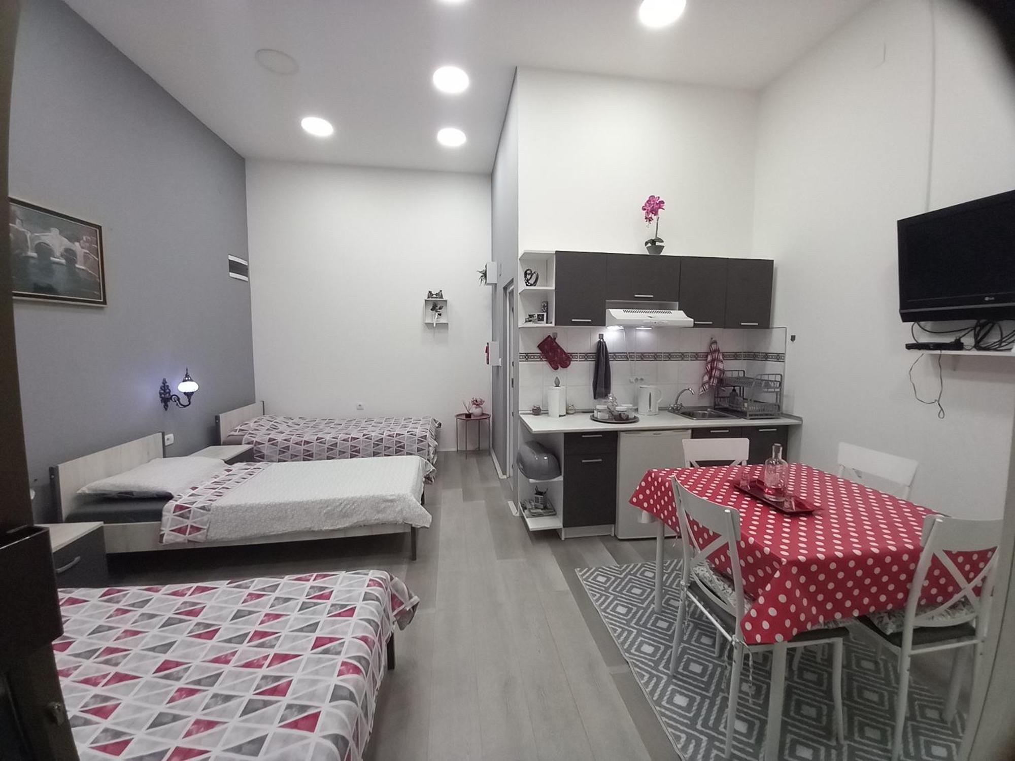 Apartman Stari Most - Old Bridge Becej Номер фото